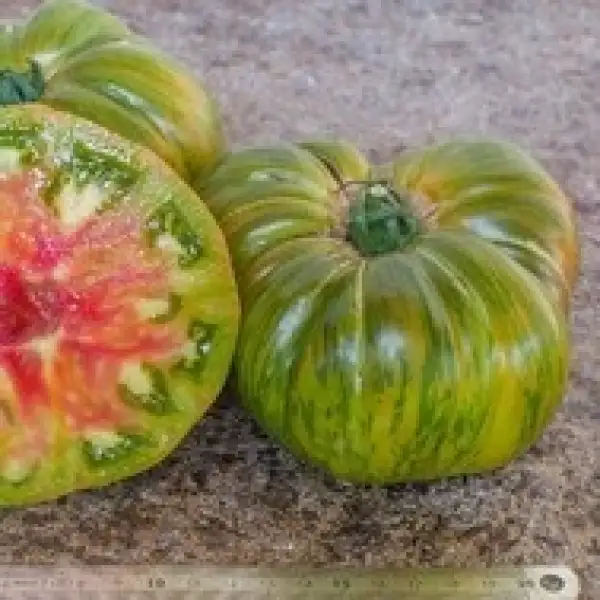 Tomaten: Ananas Zebra