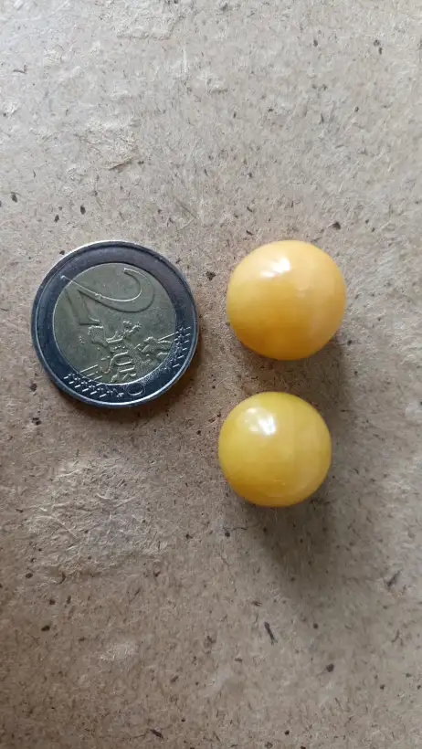 Physalis: Ananaskirsche