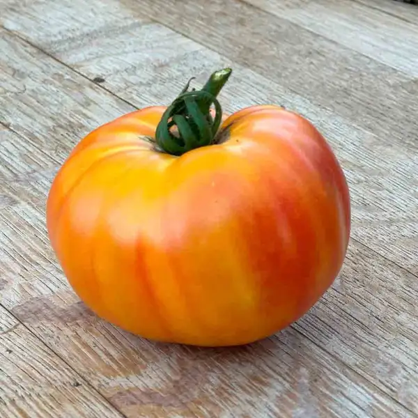 Tomaten: Ananastomate