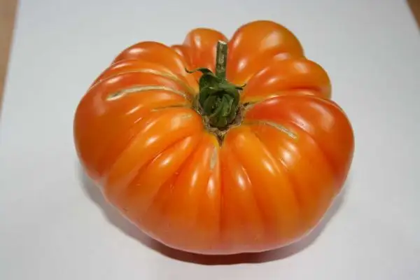 Tomaten: Ananastomate