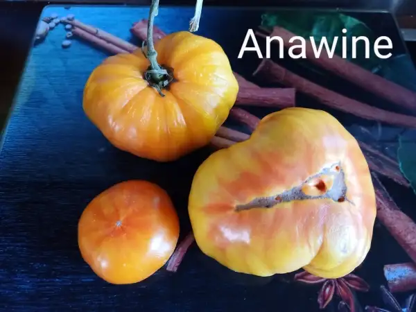 Tomaten: Anawine