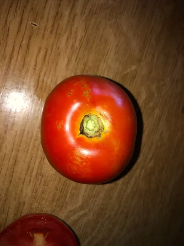 Tomaten: Ancienne Belge