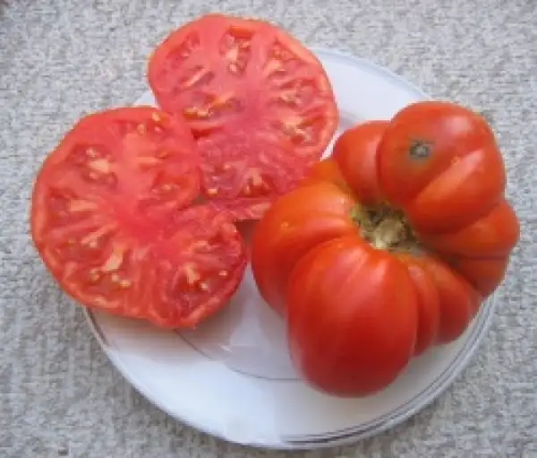 Tomaten: Andrew Rahart