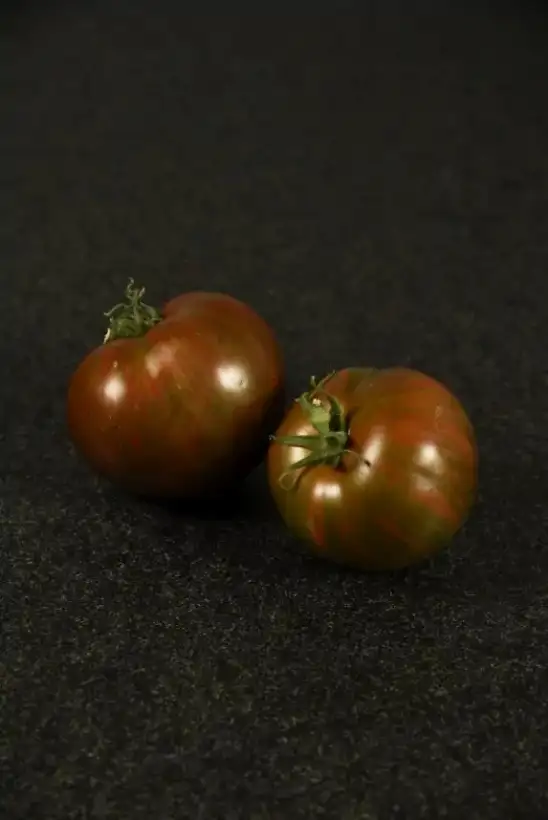 Tomaten: Andy`s Forty Dwarf