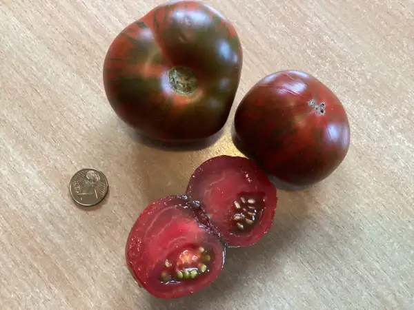 Tomaten: Andys Forty