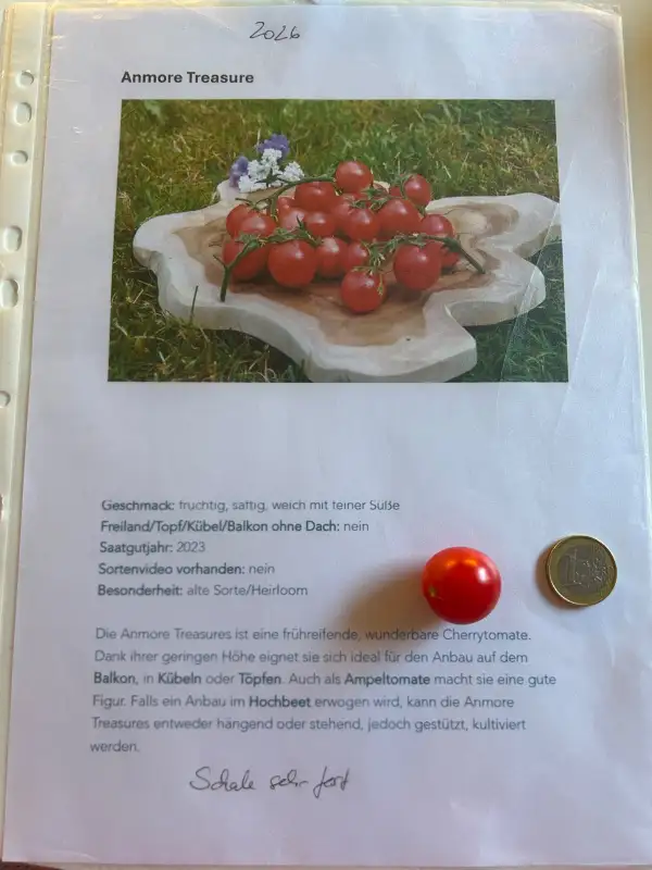 Tomaten: Anemore Treasure