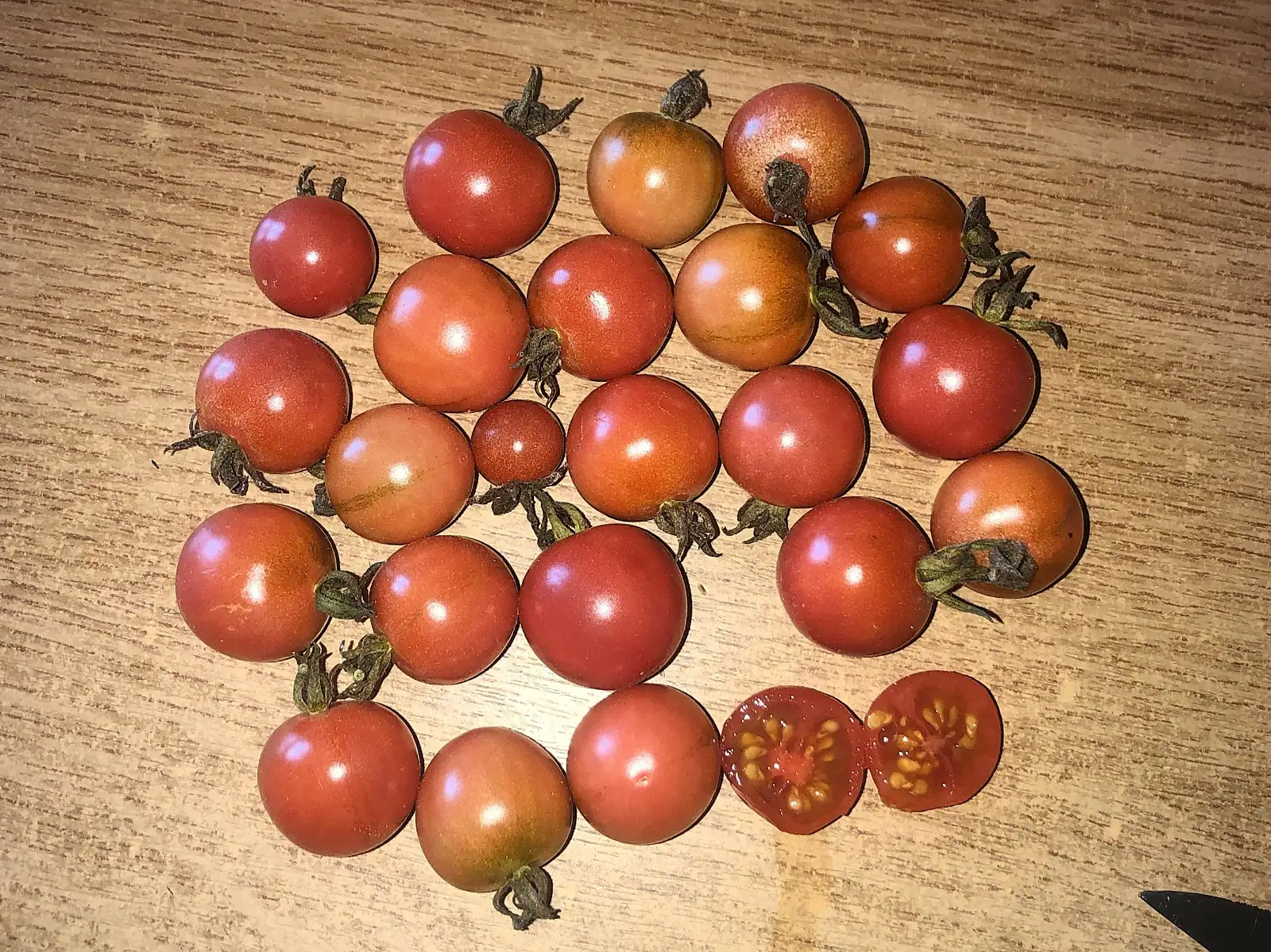 Tomaten: Anettes Wilde