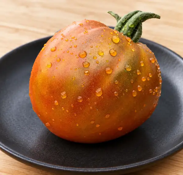 Tomaten: Angel Wings