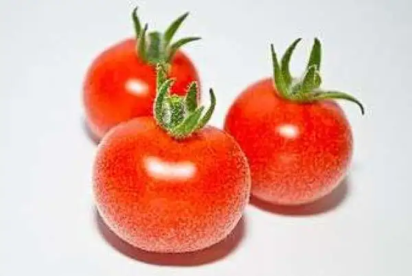 Tomaten: Angora Supersweet