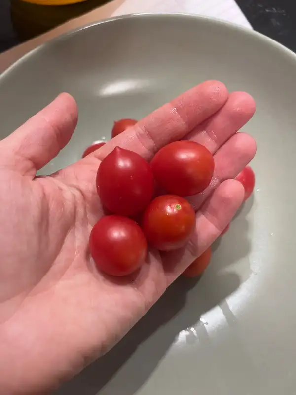 Tomaten: Anmore Treasures