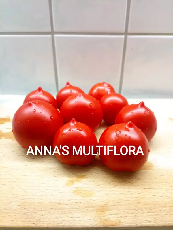 Tomaten: Anna