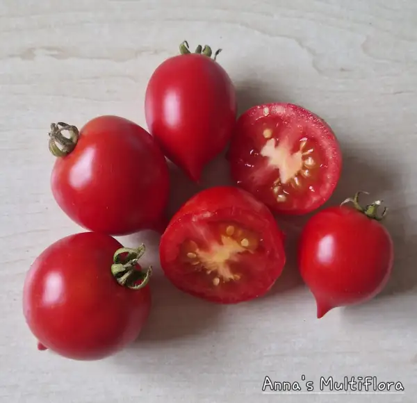Tomaten: Anna