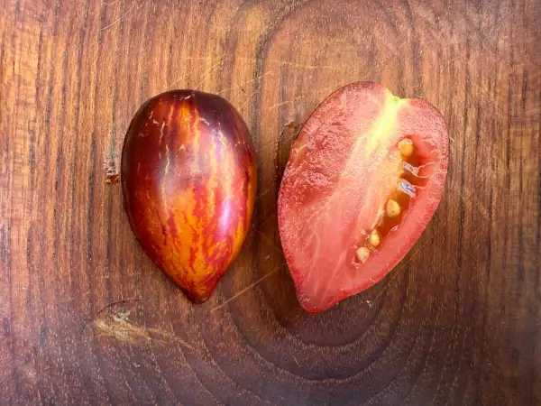 Tomaten: Antho pink Panther
