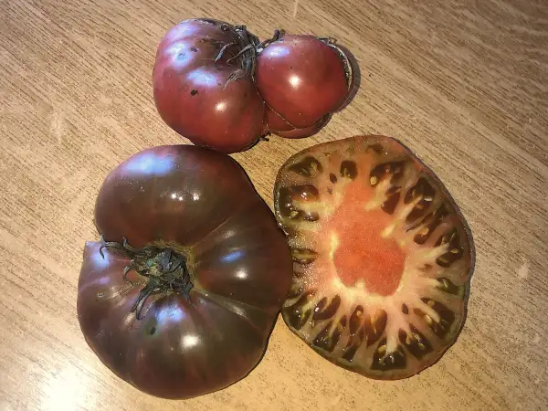 Tomaten: Antiguo de Nubla