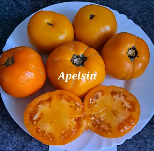 Tomaten: Apelsin