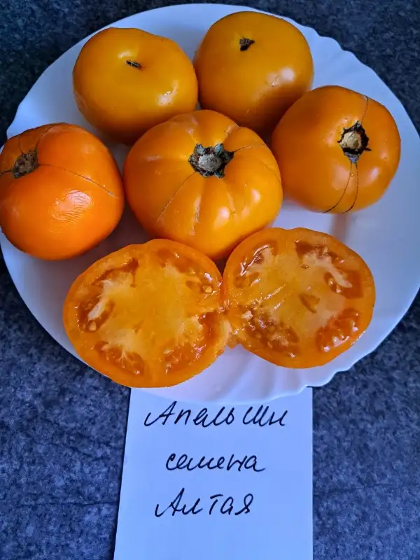 Tomaten: Apelsin