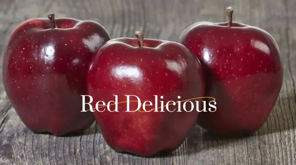 Obst: Apfel Red Delicious