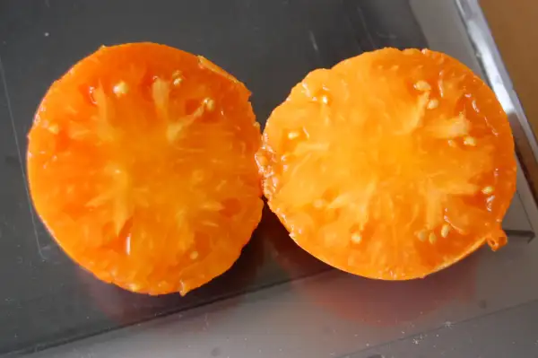 Tomaten: Apricot Brandywine