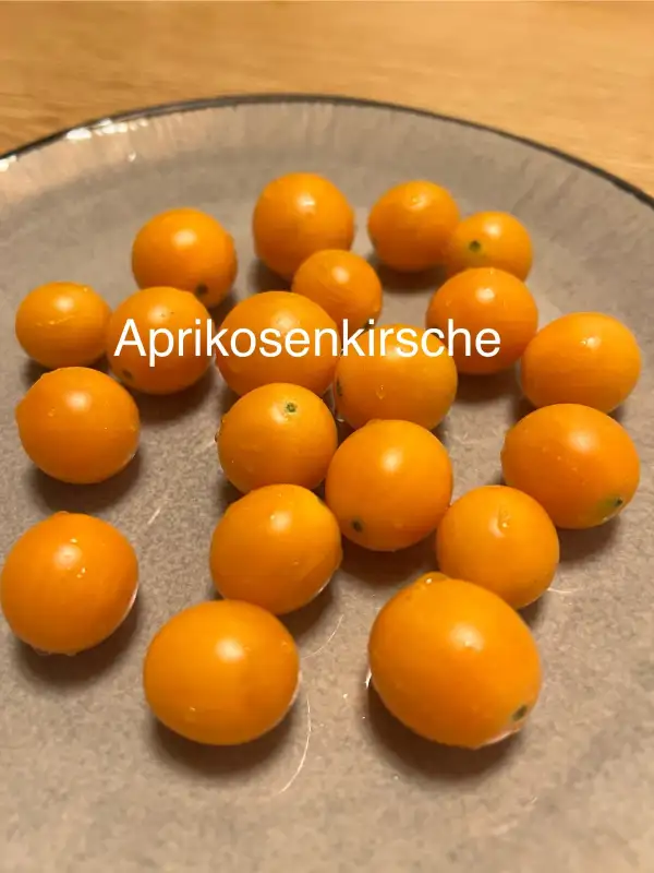 Tomaten: Aprikosenkirsche