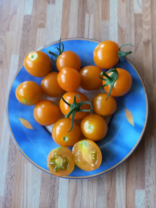 Tomaten: Aprikosenkirsche