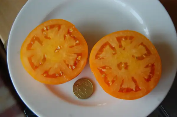 Tomaten: Arancia