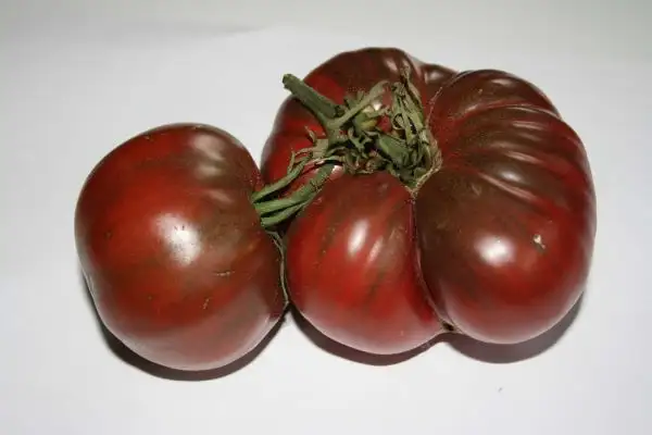 Tomaten: Arbuznyi