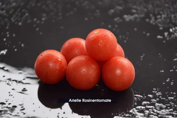 Tomaten: Arielle Rosinentomate