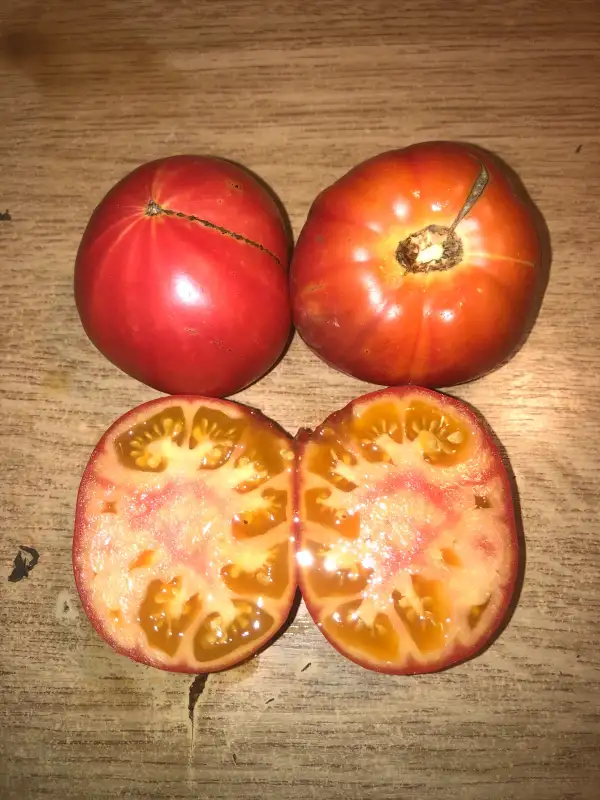 Tomaten: Arkansas Marvel