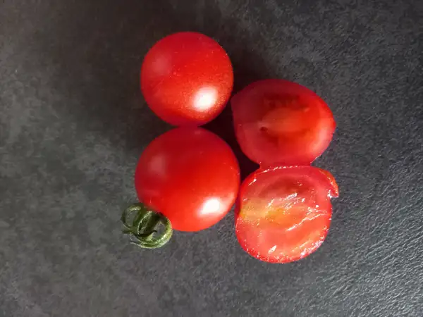 Tomaten: Arkansas Traveler