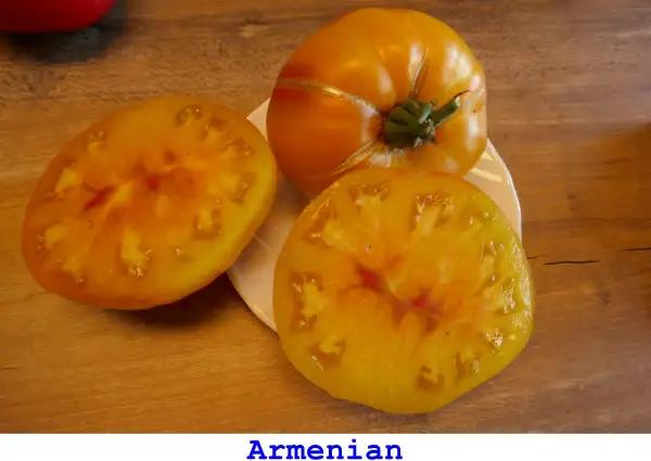 Tomaten: Armenian
