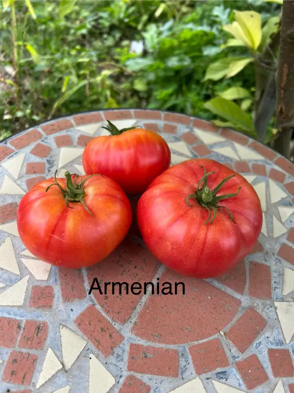 Tomaten: Armenian