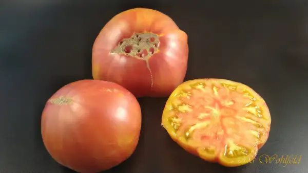 Tomaten: Armenian