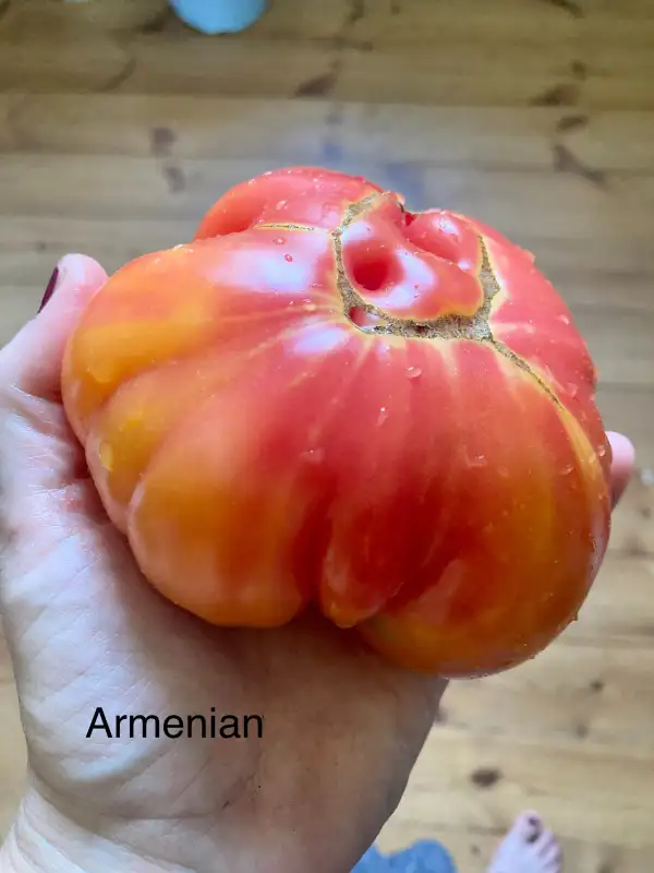 Tomaten: Armenian