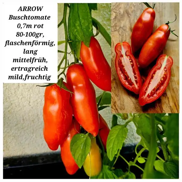 Tomaten: ARROW