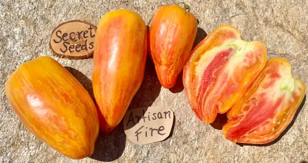 Tomaten: Artisan Fire