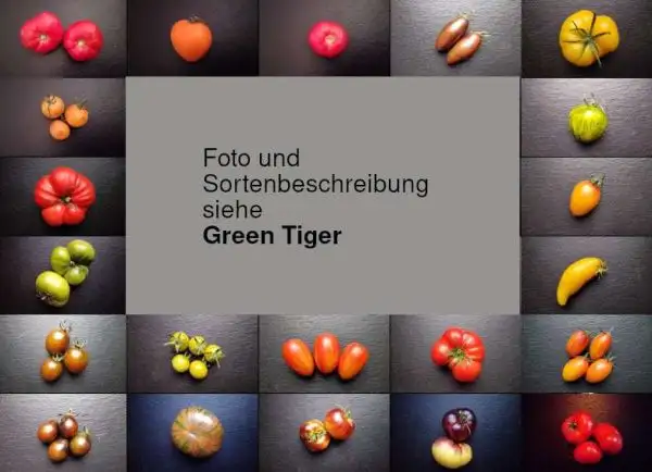 Tomaten: Artisan Green Tiger