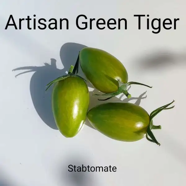 Tomaten: Artisan Green Tiger