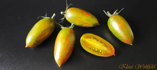 Tomaten: Artisan Lucy Tiger