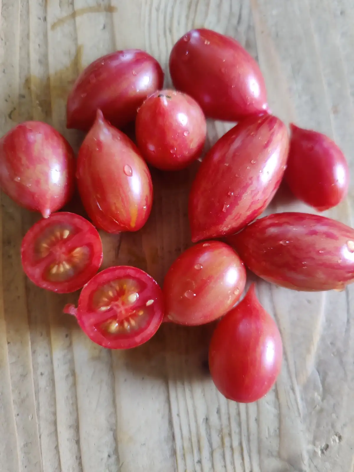Tomaten: Artisan Pink Tiger