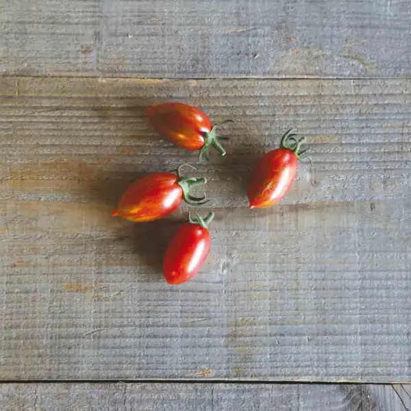 Tomaten: Artisan Pink Tiger