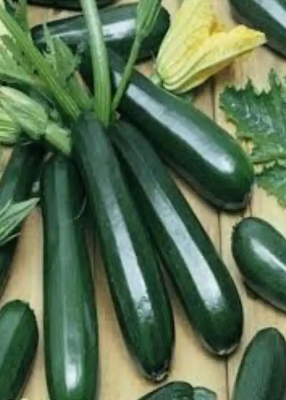 andere Gemüse: Arzum Zucchini