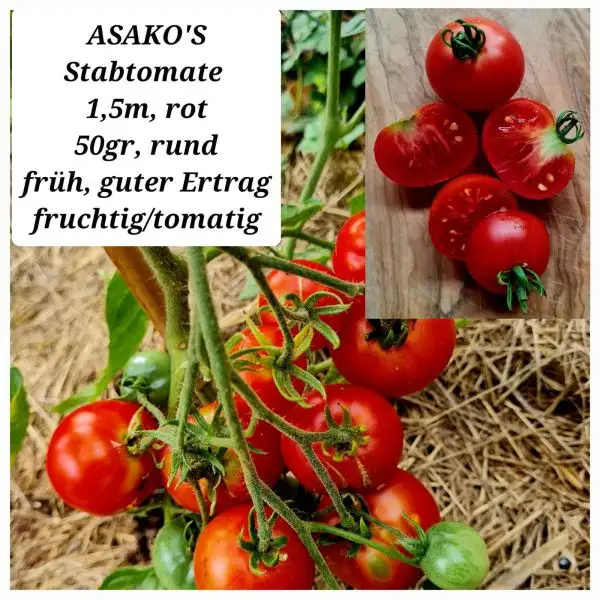 Tomaten: ASAKO