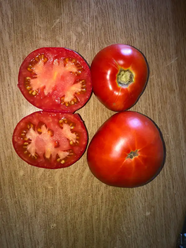 Tomaten: Atlantic Prize