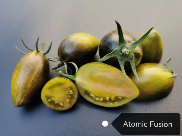 Tomaten: Atomic Fusion
