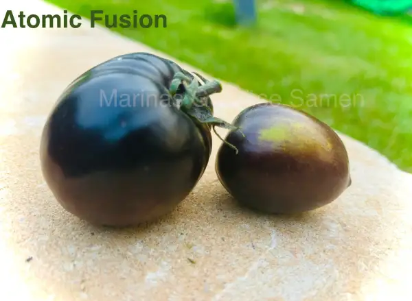 Tomaten: Atomic Fusion