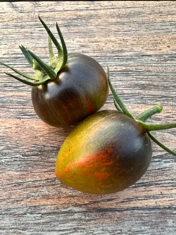 Tomaten: Atomic Fusion