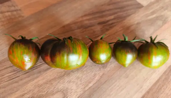 Tomaten: Atomic Fusion