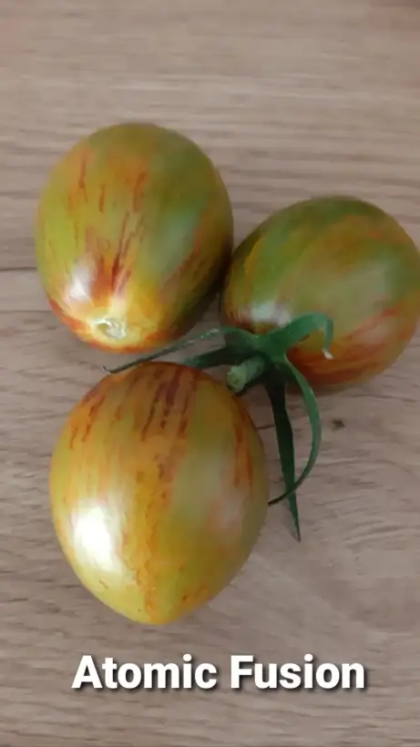 Tomaten: Atomic Fusion