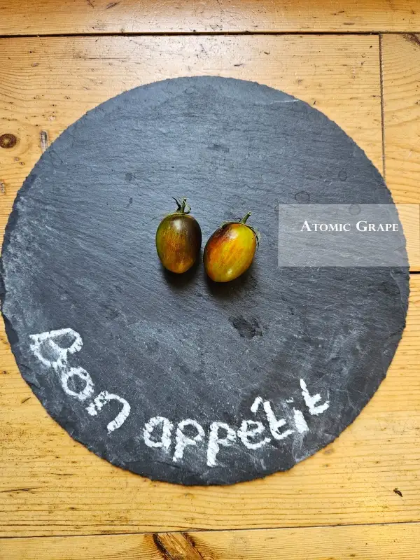 Tomaten: Atomic Grape