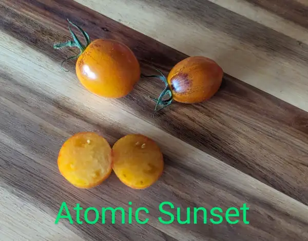 Tomaten: Atomic Sunset